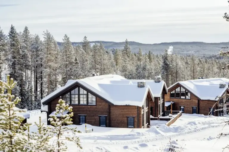 Lodge omgiven av granskog